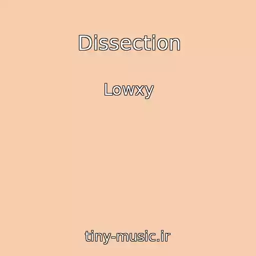 کاور آهنگ Dissection از Lowxy
