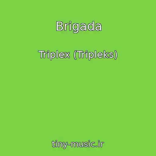 کاور آهنگ Brigada از Triplex (Tripleks)