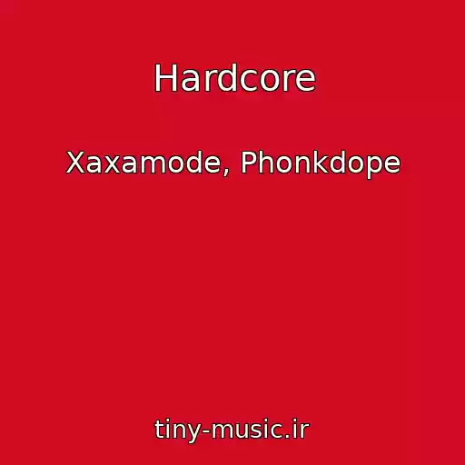 کاور آهنگ Hardcore از Xaxamode, Phonkdope