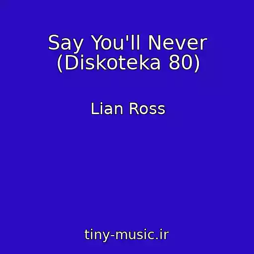 کاور آهنگ Say You'll Never (Diskoteka 80) از Lian Ross