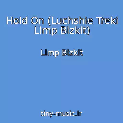 کاور آهنگ Hold On (Luchshie Treki Limp Bizkit) از Limp Bizkit