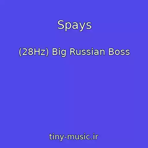 کاور آهنگ Spays از (28Hz) Big Russian Boss