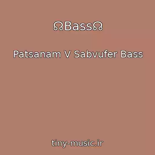 کاور آهنگ ☊Bass☊ از Patsanam V Sabvufer Bass