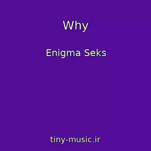 کاور آهنگ Why از Enigma Seks