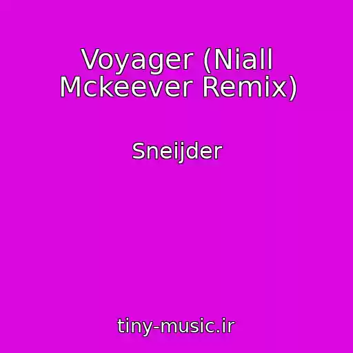 کاور آهنگ Voyager (Niall Mckeever Remix) از Sneijder