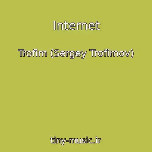 کاور آهنگ Internet از Trofim (Sergey Trofimov)