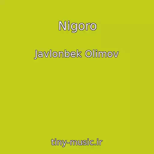 کاور آهنگ Nigoro از Javlonbek Olimov