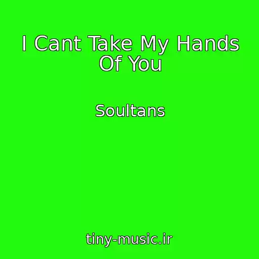 کاور آهنگ I Cant Take My Hands Of You از Soultans