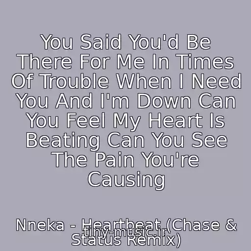کاور آهنگ You Said You'd Be There For Me In Times Of Trouble When I Need You And I'm Down Can You Feel My Heart Is Beating Can You See The Pain You're Causing از Nneka - Heartbeat (Chase & Status Remix)