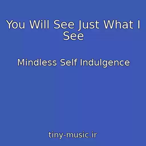 کاور آهنگ You Will See Just What I See از Mindless Self Indulgence