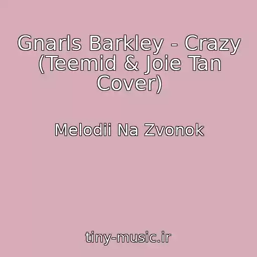 کاور آهنگ Gnarls Barkley - Crazy (Teemid & Joie Tan Cover) از Melodii Na Zvonok