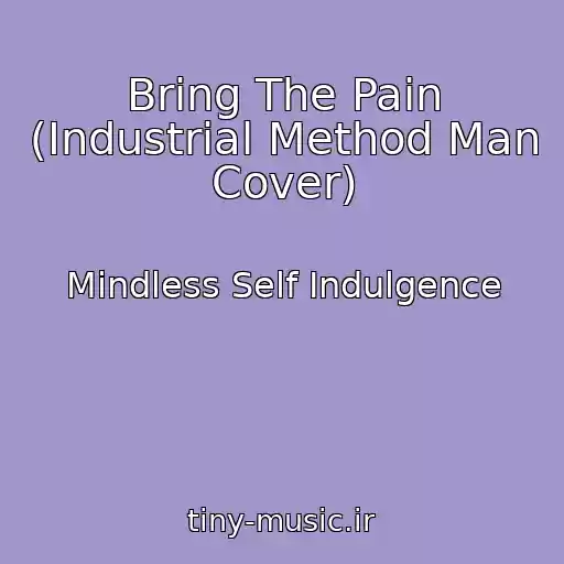 کاور آهنگ Bring The Pain (Industrial Method Man Cover) از Mindless Self Indulgence