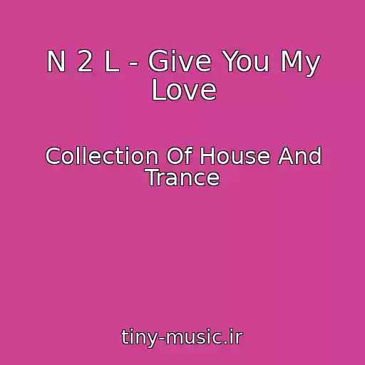 کاور آهنگ N 2 L - Give You My Love از Collection Of House And Trance