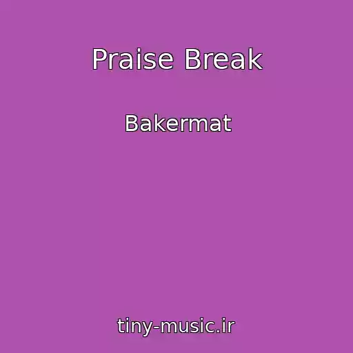 کاور آهنگ Praise Break از Bakermat