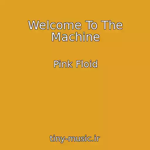 کاور آهنگ Welcome To The Machine از Pink Floid