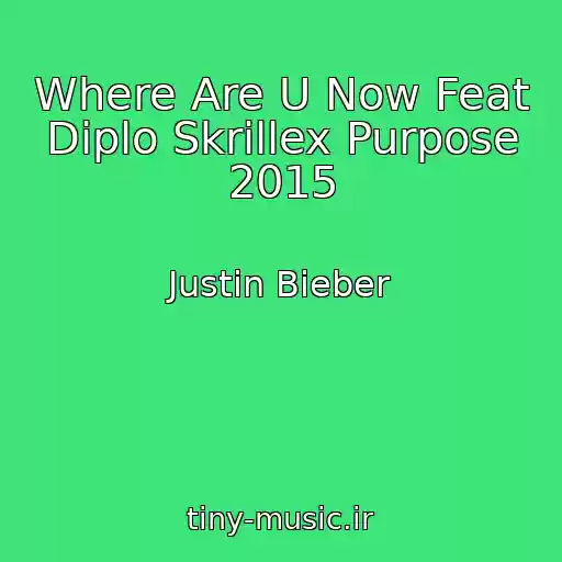 کاور آهنگ Where Are U Now Feat Diplo Skrillex Purpose 2015 از Justin Bieber