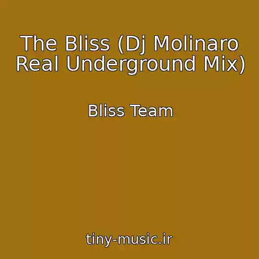 کاور آهنگ The Bliss (Dj Molinaro Real Underground Mix) از Bliss Team