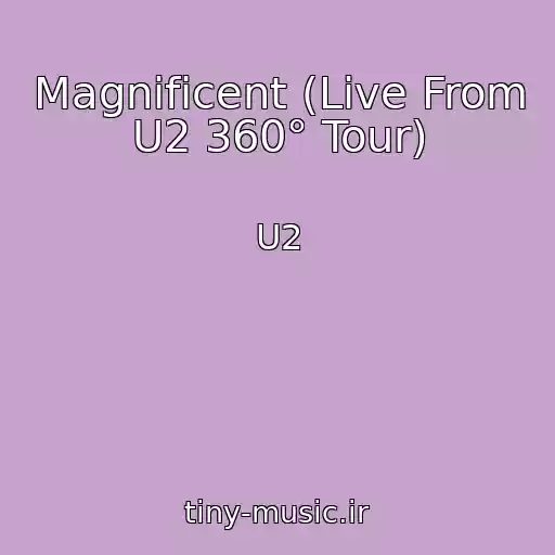 کاور آهنگ Magnificent (Live From U2 360° Tour) از U2
