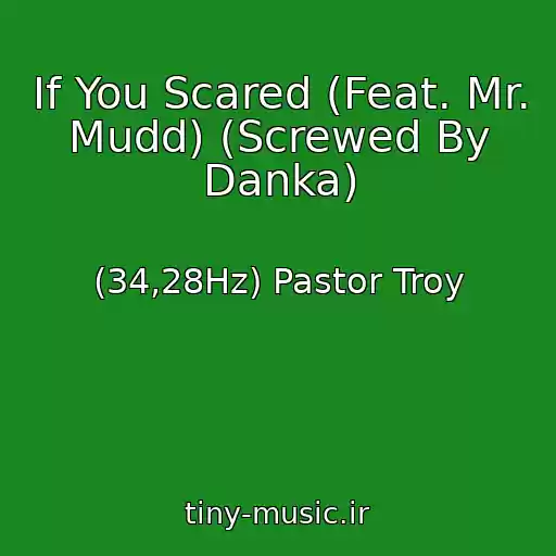 کاور آهنگ If You Scared (Feat. Mr. Mudd) (Screwed By Danka) از (34,28Hz) Pastor Troy
