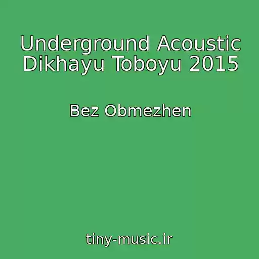 کاور آهنگ Underground Acoustic Dikhayu Toboyu 2015 از Bez Obmezhen