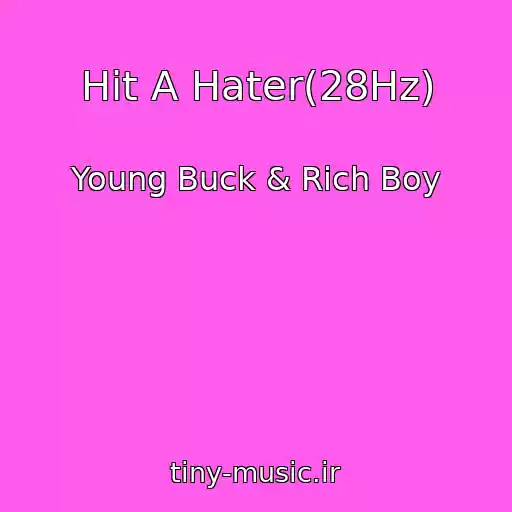 کاور آهنگ Hit A Hater(28Hz) از Young Buck & Rich Boy