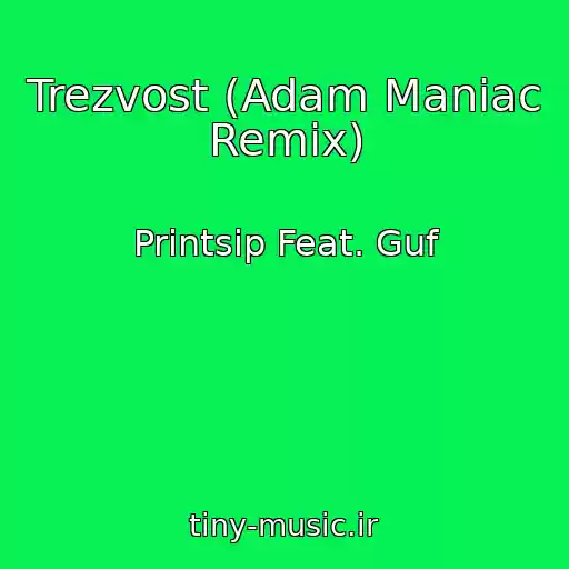 کاور آهنگ Trezvost (Adam Maniac Remix) از Printsip Feat. Guf