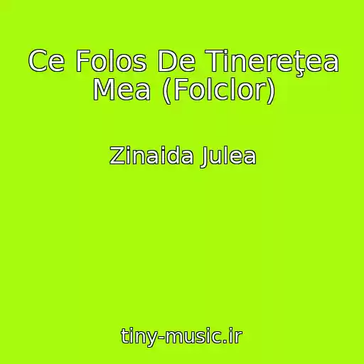 کاور آهنگ Ce Folos De Tinereţea Mea (Folclor) از Zinaida Julea