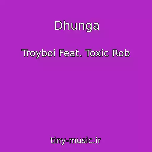 کاور آهنگ Dhunga از Troyboi Feat. Toxic Rob