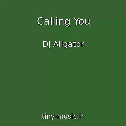 کاور آهنگ Calling You از Dj Aligator