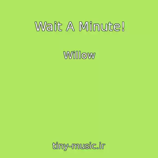کاور آهنگ Wait A Minute! از Willow