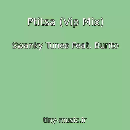 کاور آهنگ Ptitsa (Vip Mix) از Swanky Tunes Feat. Burito