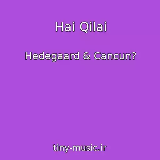 کاور آهنگ Hai Qilai از Hedegaard & Cancun?