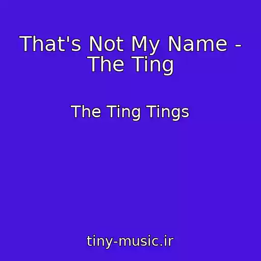 کاور آهنگ That's Not My Name - The Ting از The Ting Tings