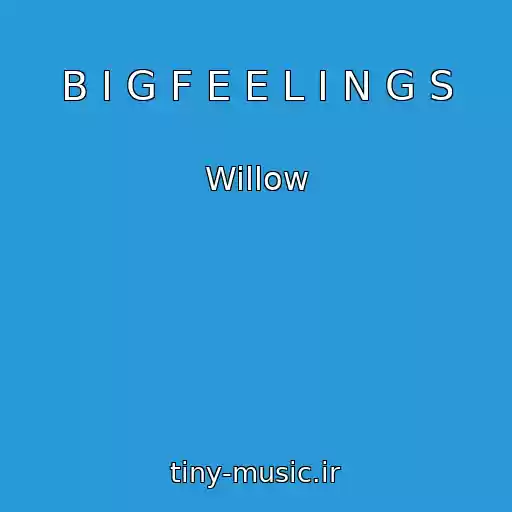 کاور آهنگ B I G F E E L I N G S از Willow