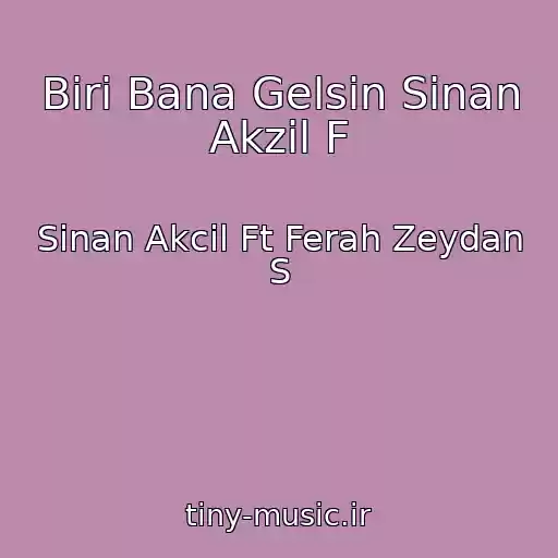کاور آهنگ Biri Bana Gelsin Sinan Akzil F از Sinan Akcil Ft Ferah Zeydan S