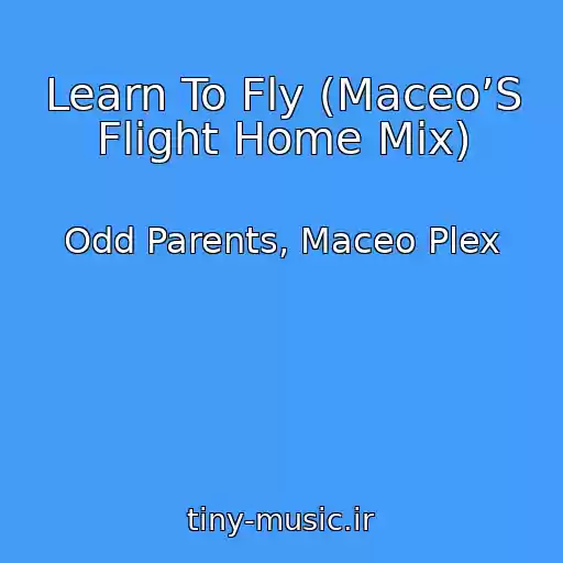 کاور آهنگ Learn To Fly (Maceo’S Flight Home Mix) از Odd Parents, Maceo Plex