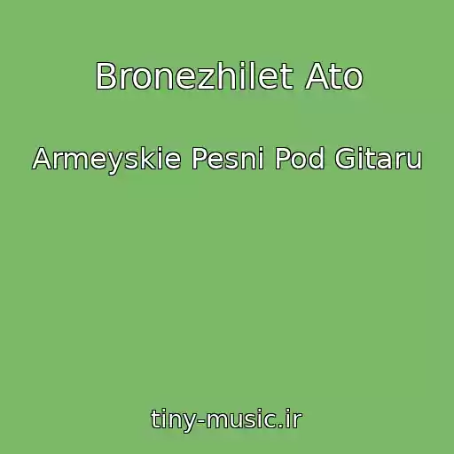 کاور آهنگ Bronezhilet Ato از Armeyskie Pesni Pod Gitaru