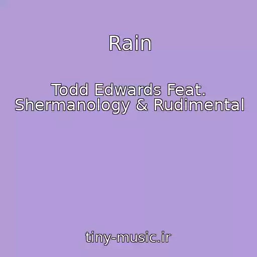 کاور آهنگ Rain از Todd Edwards Feat. Shermanology & Rudimental