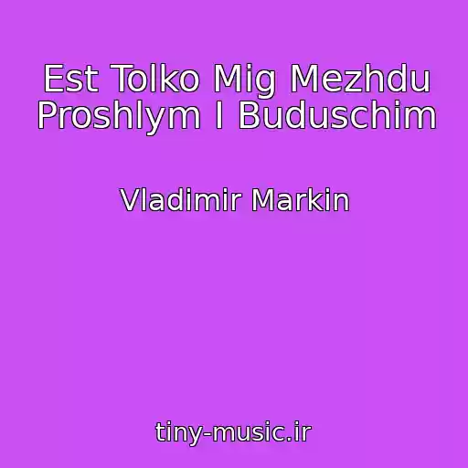 کاور آهنگ Est Tolko Mig Mezhdu Proshlym I Buduschim از Vladimir Markin