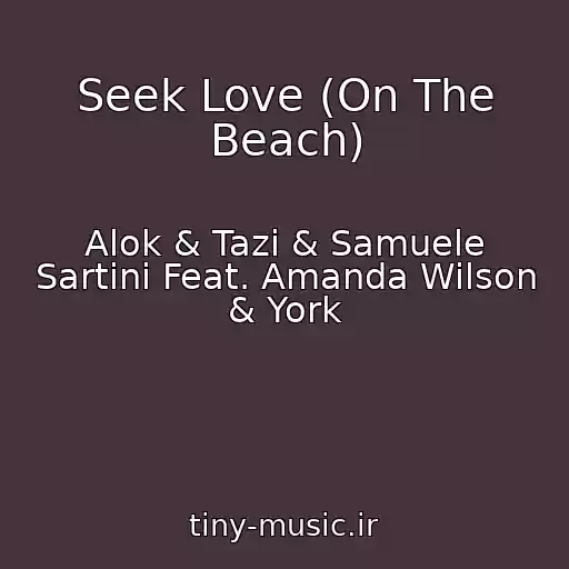 کاور آهنگ Seek Love (On The Beach) از Alok & Tazi & Samuele Sartini Feat. Amanda Wilson & York