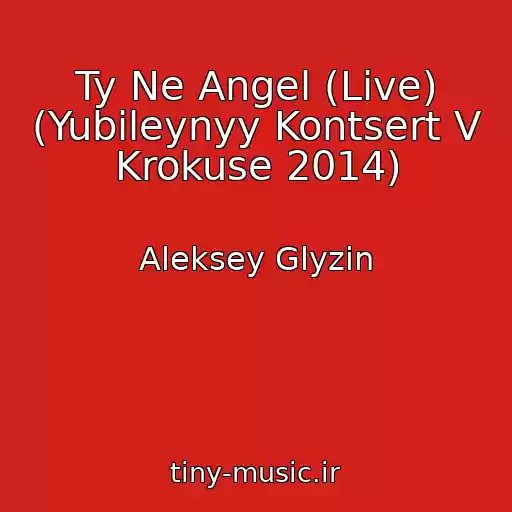 کاور آهنگ Ty Ne Angel (Live) (Yubileynyy Kontsert V Krokuse 2014) از Aleksey Glyzin