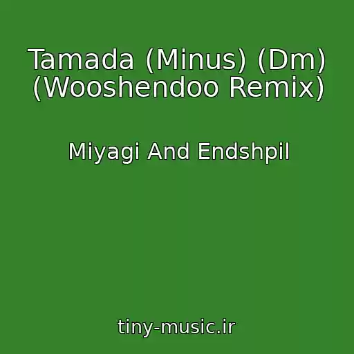 کاور آهنگ Tamada (Minus) (Dm) (Wooshendoo Remix) از Miyagi And Endshpil