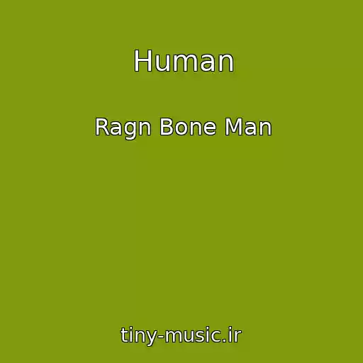 کاور آهنگ Human از Ragn Bone Man