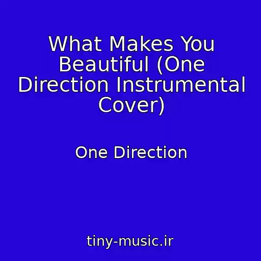 کاور آهنگ What Makes You Beautiful (One Direction Instrumental Cover) از One Direction