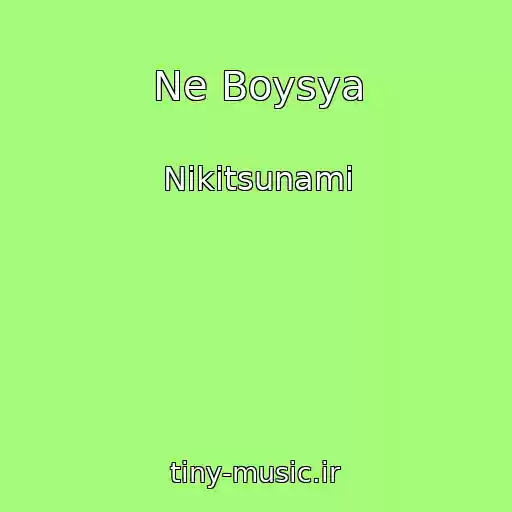 کاور آهنگ Ne Boysya از Nikitsunami