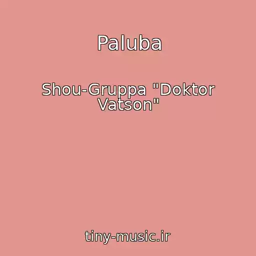 کاور آهنگ Paluba از Shou-Gruppa "Doktor Vatson"