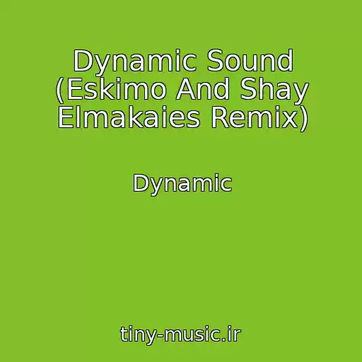 کاور آهنگ Dynamic Sound (Eskimo And Shay Elmakaies Remix) از Dynamic