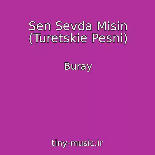 کاور آهنگ Sen Sevda Misin (Turetskie Pesni) از Buray