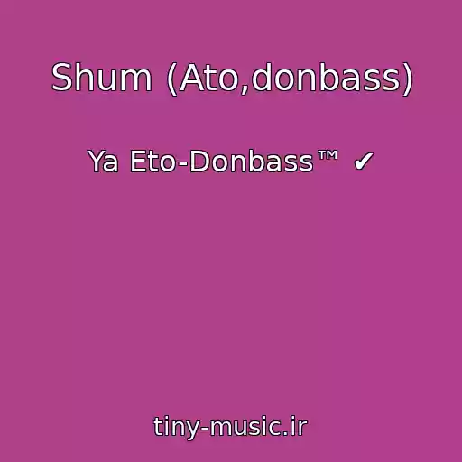 کاور آهنگ Shum (Ato,donbass) از Ya Eto-Donbass™ ✔