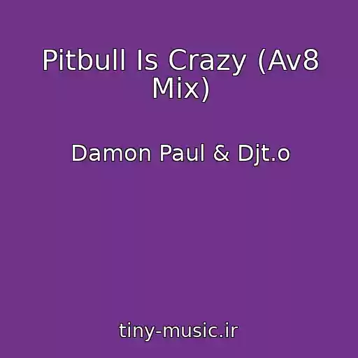 کاور آهنگ Pitbull Is Crazy (Av8 Mix) از Damon Paul & Djt.o